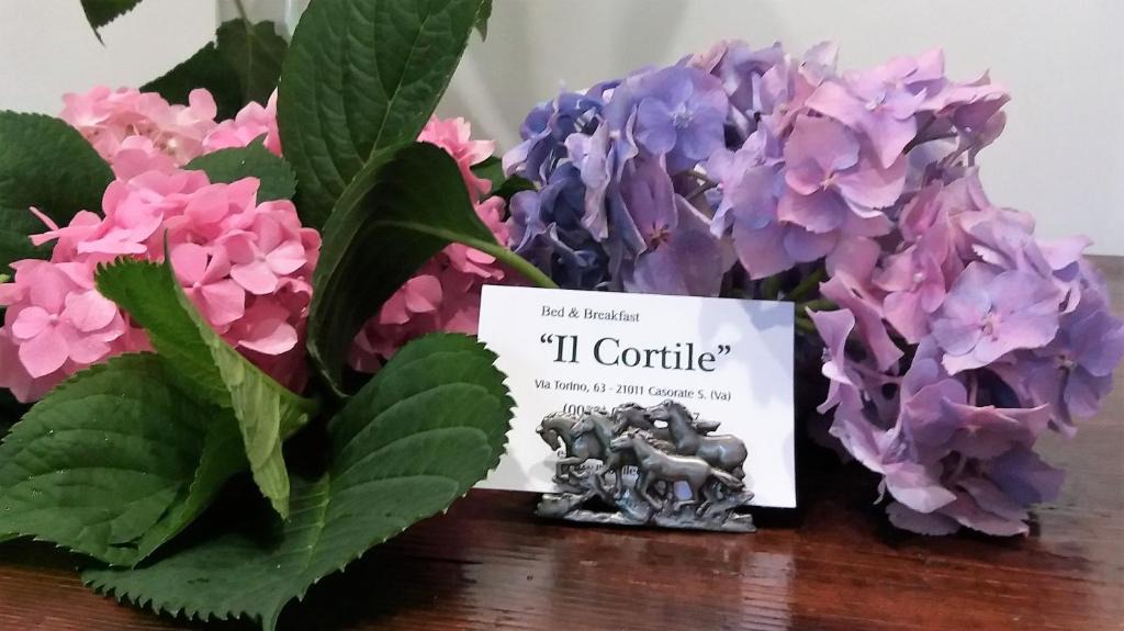 Casorate Sempione Bed & Breakfast | B&B il Cortile Malpensa
