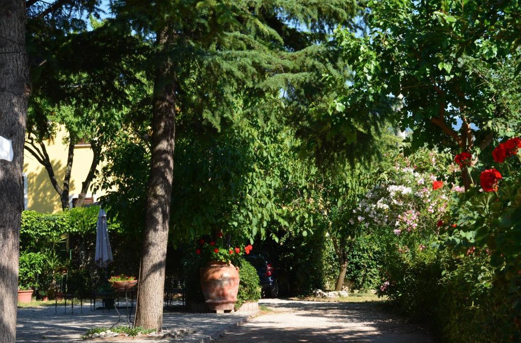 Bovara Bed & Breakfast | B&B Il Giovine