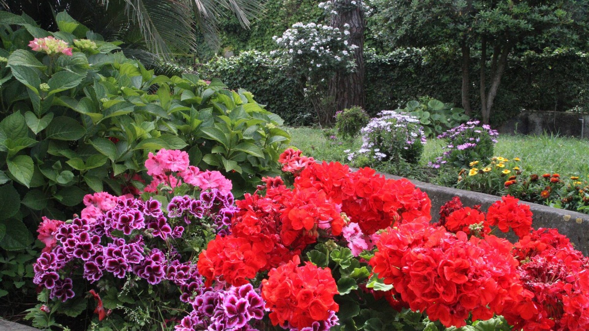 Anacapri Bed & Breakfast | B&B Il Sogno
