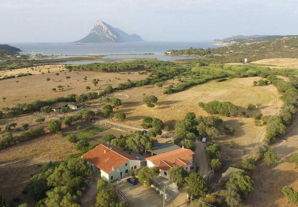 Tiriddo Bed & Breakfast | B&B La Taerra