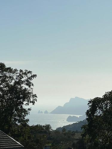 San Lazzaro Bed & Breakfast | B&B La Veronica