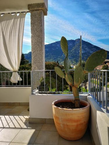 San Teodoro Bed & Breakfast | B&B Limone