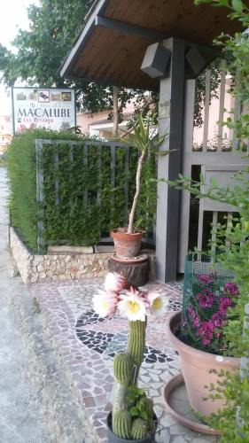 Aragona Bed & Breakfast | B&B Macalube Aragona