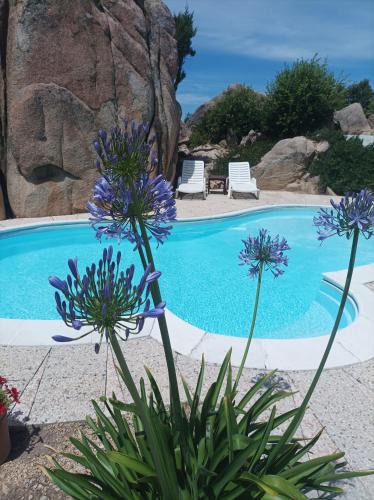 Rena Majore Bed & Breakfast | B&B Rena Majore con piscina privata!