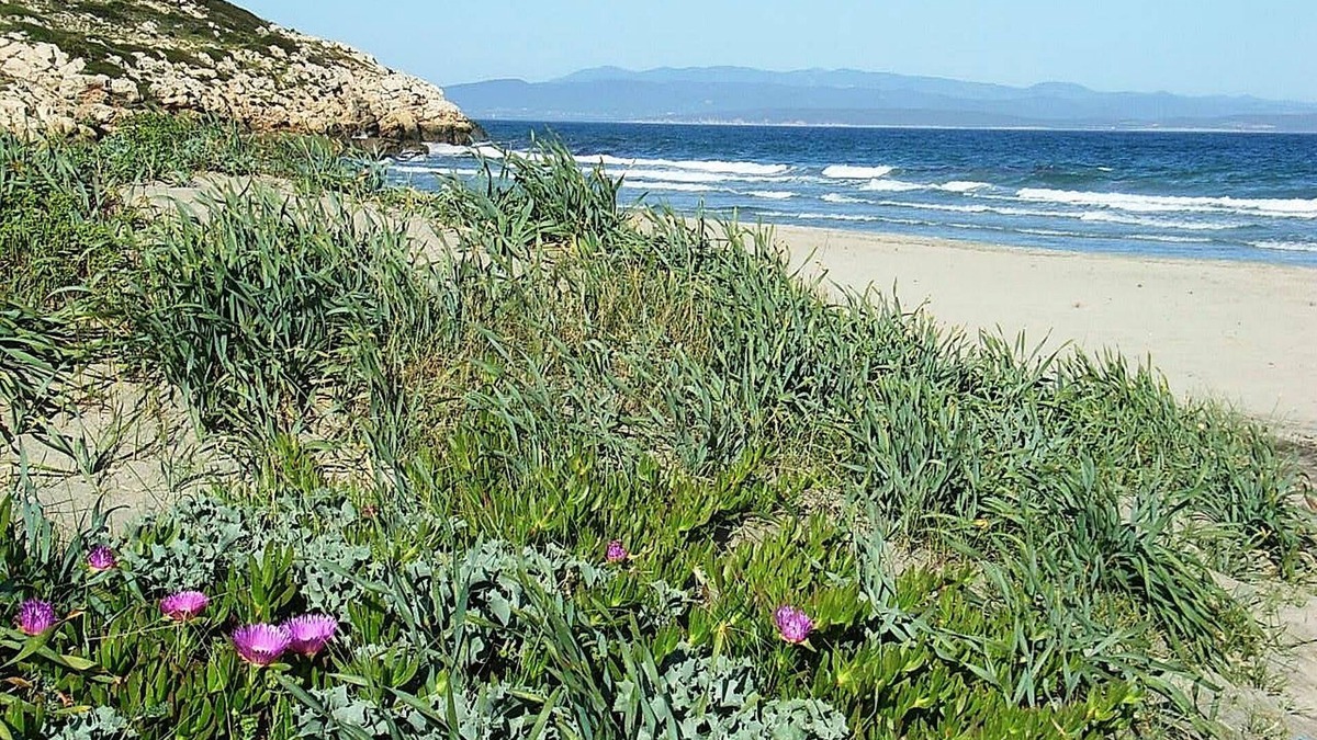 Sant'Antioco Bed & Breakfast | B&B Semaforo di Capo Sperone
