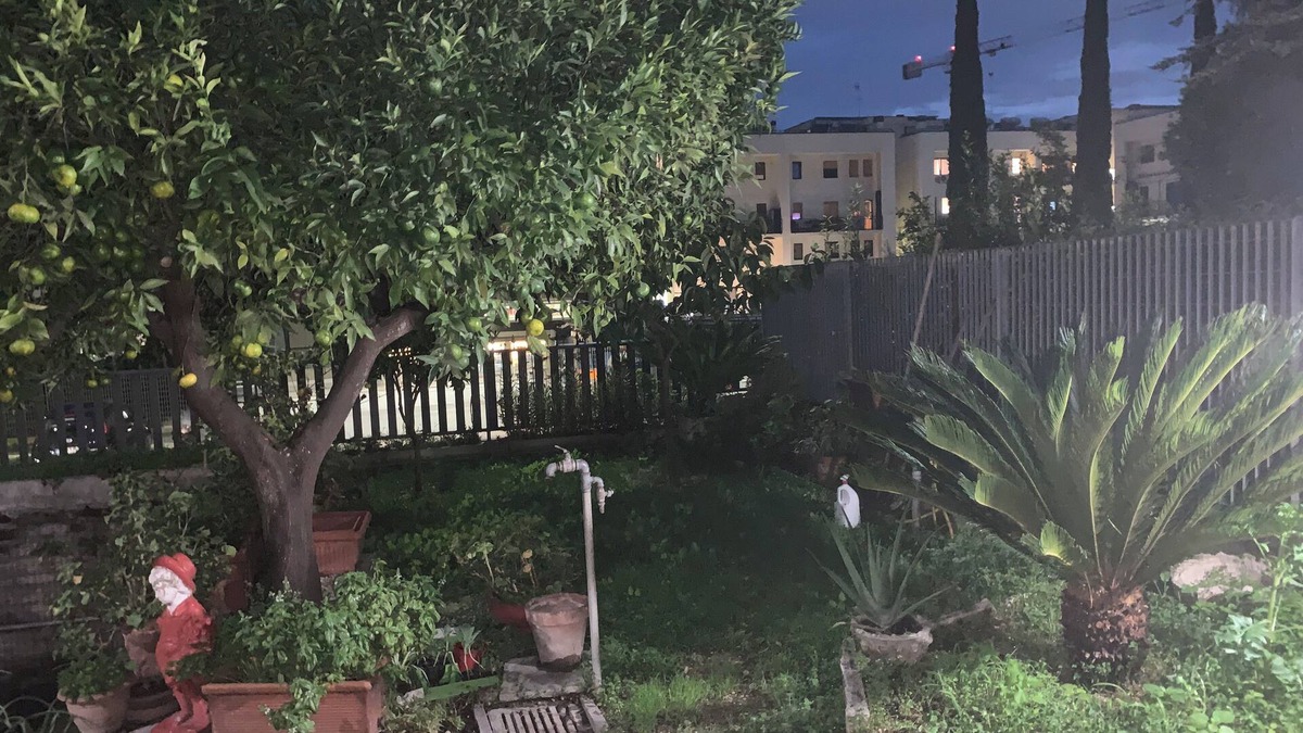 Ponte Galeria-La Pisana Bed & Breakfast | B&B Sole e Luna