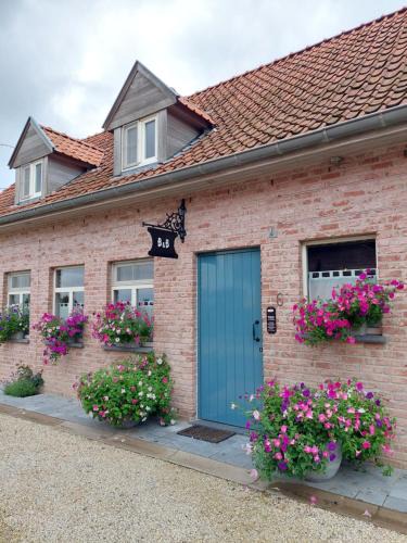 Poperinge Bed & Breakfast | B&B Stefans Pottery