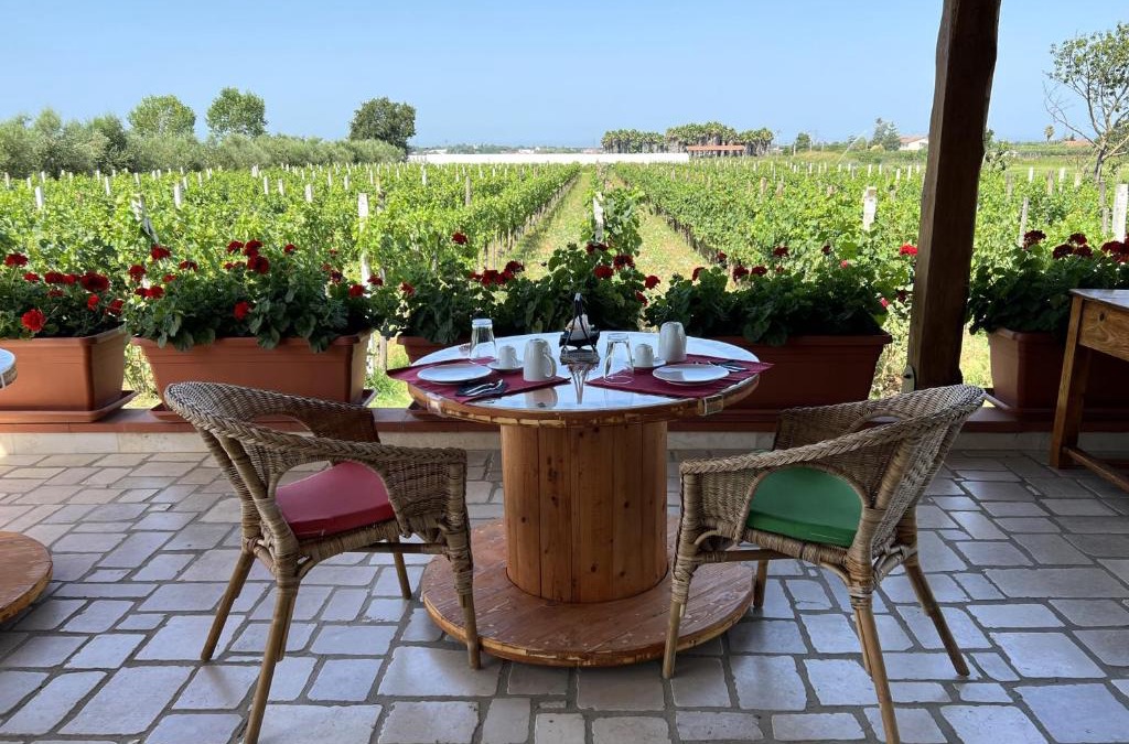 Capaccio Scalo Bed & Breakfast | B & B Vigna Di Filippo - Paestum