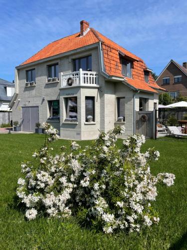 Koksijde-Bad Bed & Breakfast | B&B Villa Navy