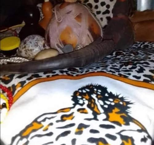 Greater Johannesburg Metropolitan Area Cabin | Baabaa Baabuu Best Sangoma Traditional Healer Love Spells Johannesburg, Bassonia, Glenvista, Lenasia, Oakdene, Winchester Hills and Mulbarton