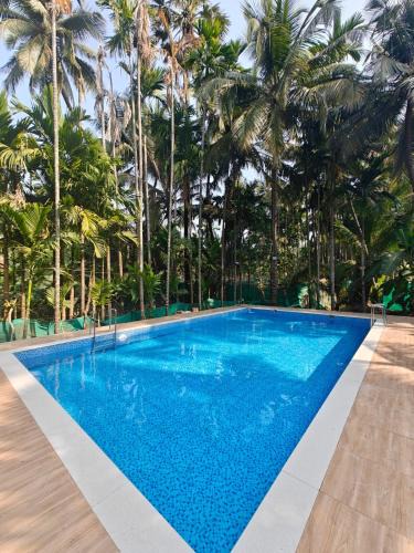 Palghar Hotel | Baadal Pani Beach Resort Near Kelwa Beach