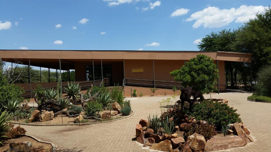 Otjozondjupa Region House | Babson House at Cheetah Conservation Fund