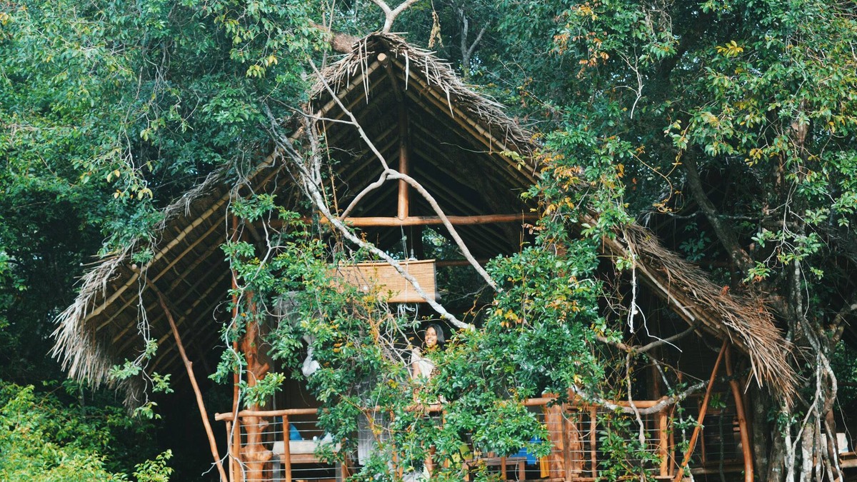 Dambulla House | Back of Beyond - Dehigaha Ela