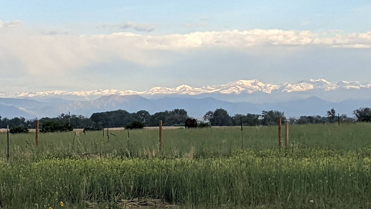 Commerce City Apartment | Bad Dog Farm - 420 Tranquil retreat, minutes from major retail and restaurants