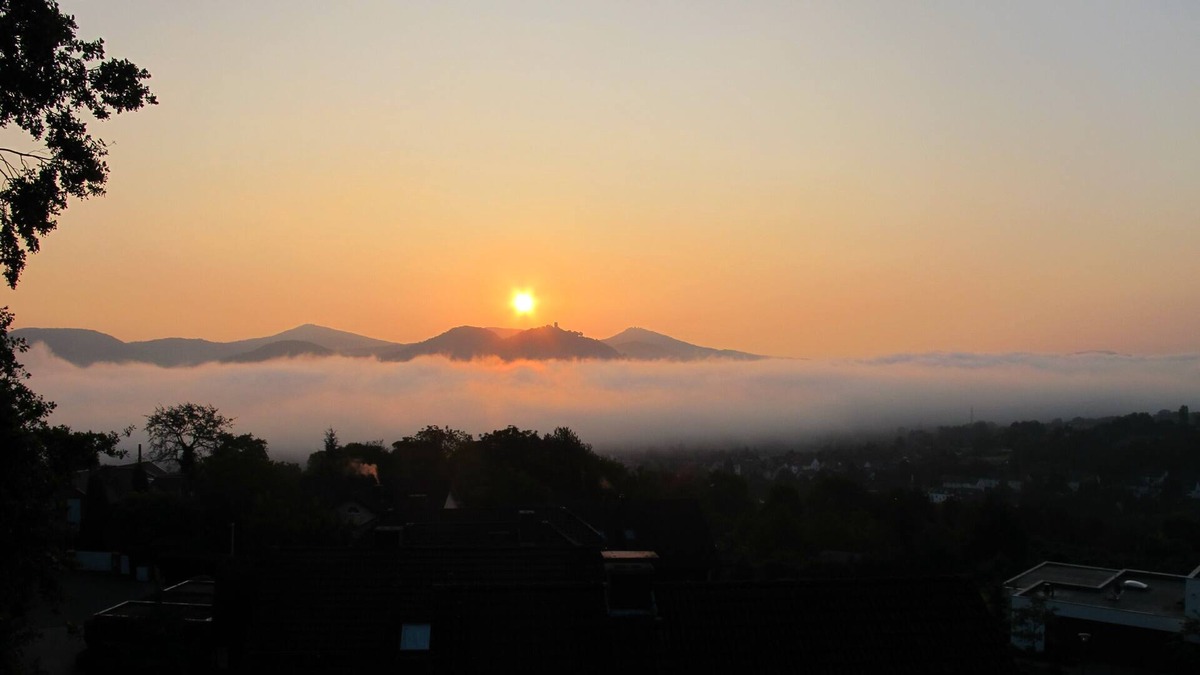 Lannesdorf Apartment | Bad Godesberg hillside Enjoy the peace and the view