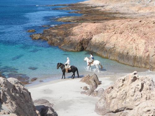 Bahia Bustamante Hotel | Bahia Bustamante Lodge
