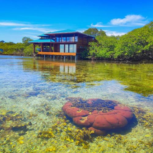 Punta Caracol Villa | Bahia Coral Lodge