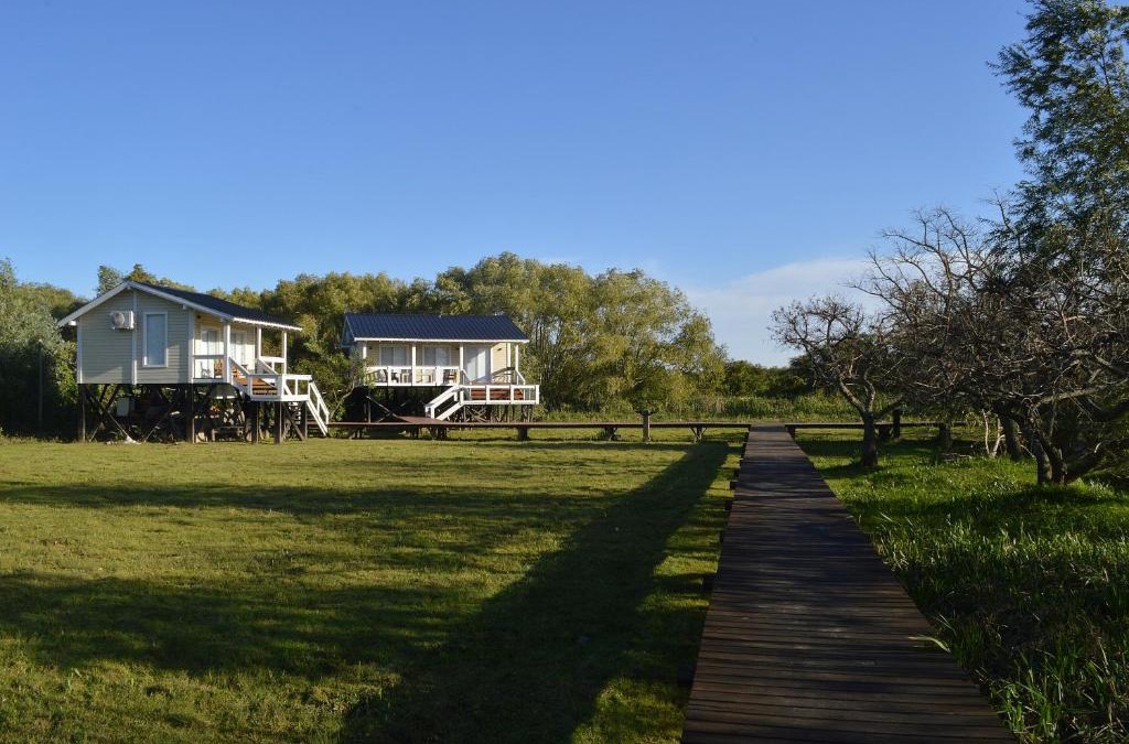 Partido de Tigre Cabin | Bajos del Paraná
