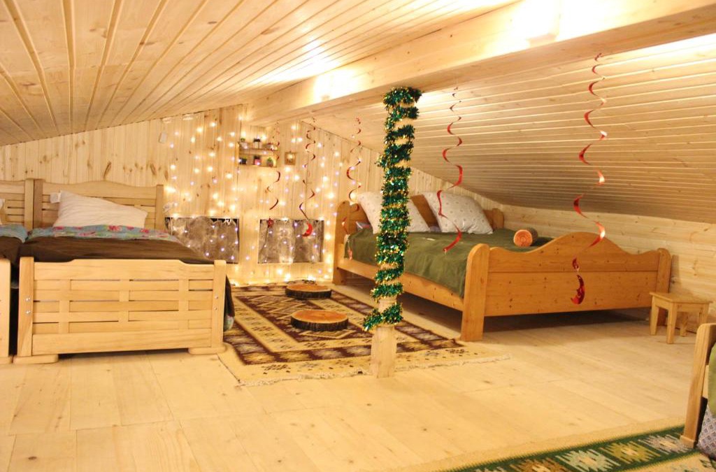 Bakurianis Andeziti Apartment | Bakuriani residence