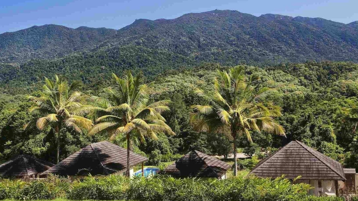 Miallo House | Bali HainA private retreat on acreage, close to town, ocean & the rainforest