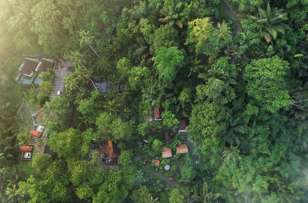 Sebatu Hotel | Bali Jungle Resort