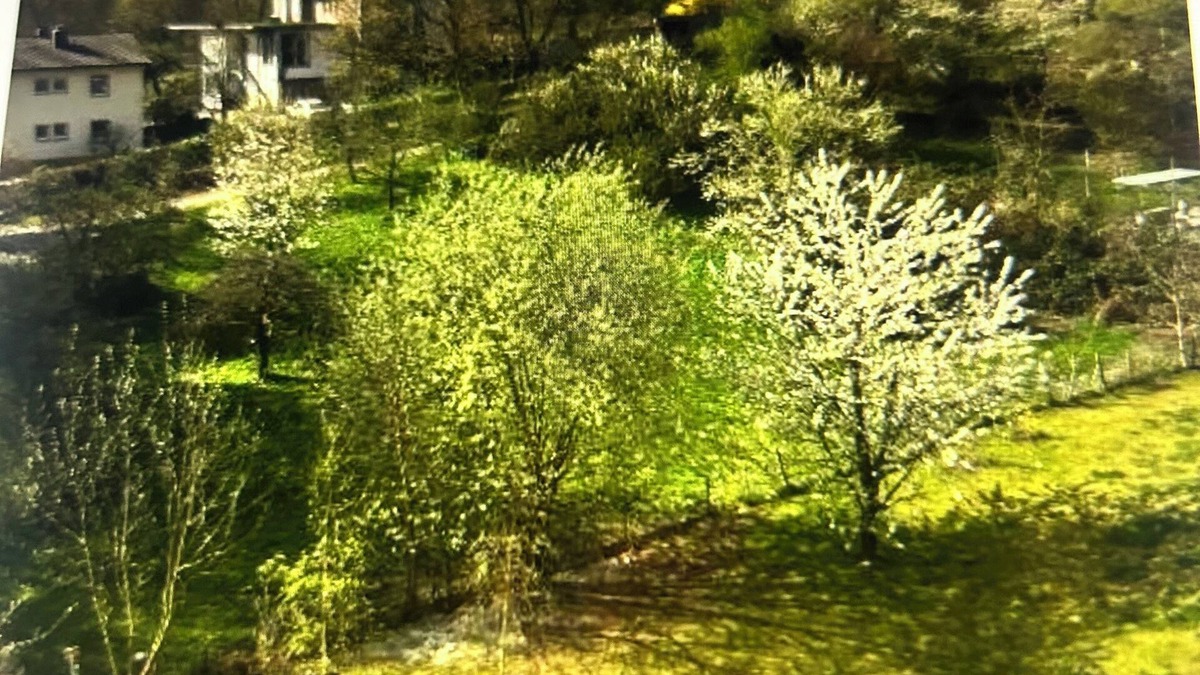 Bamberg Apartment | Bamberg near the cathedral