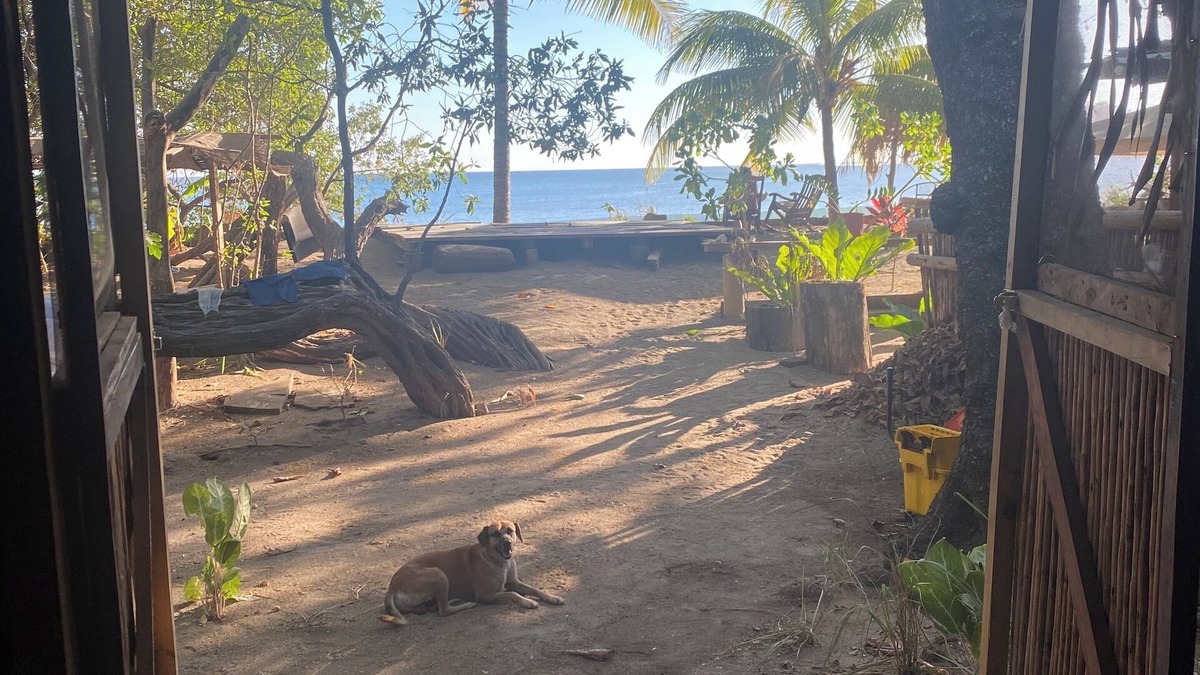Garza Cabin | Bamboo Beach Bungalow
