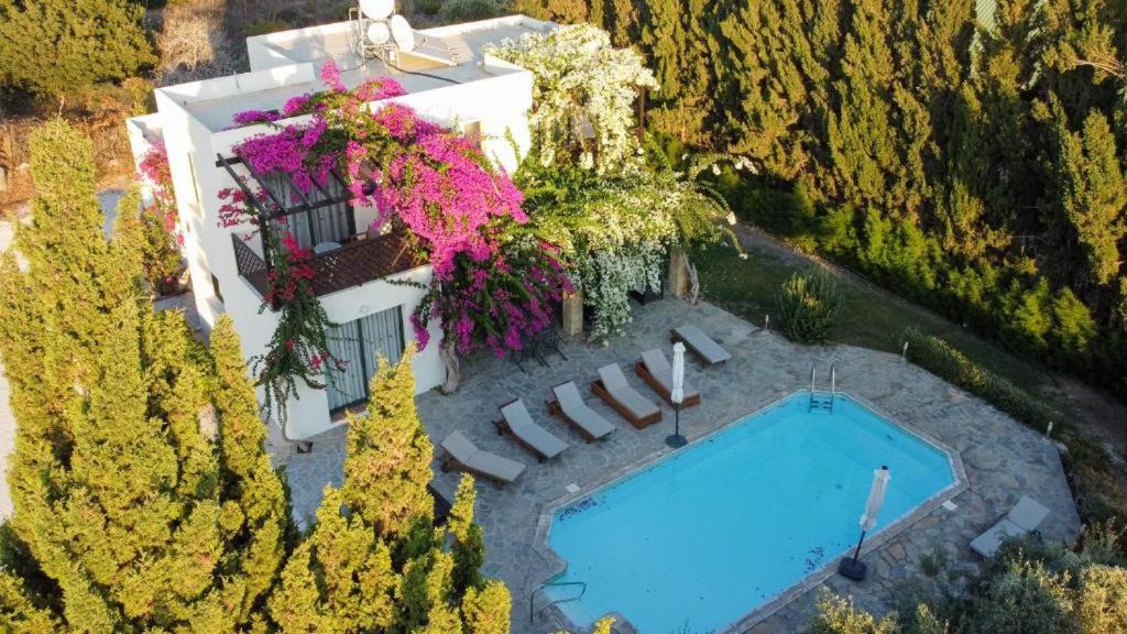 Kissonerga Villa | Banana Sunset Villas