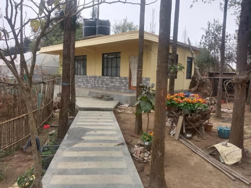 Shillong House | Banri Homestay