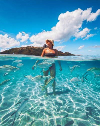 Kuata Island Cabin | Barefoot Kuata Island Resort