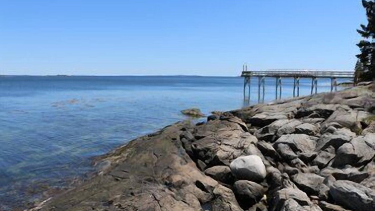 Brooklin Cottage | Barnacle on Flye Point Oceanfront