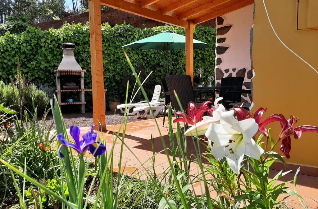 Moya House | Barrancolaurel