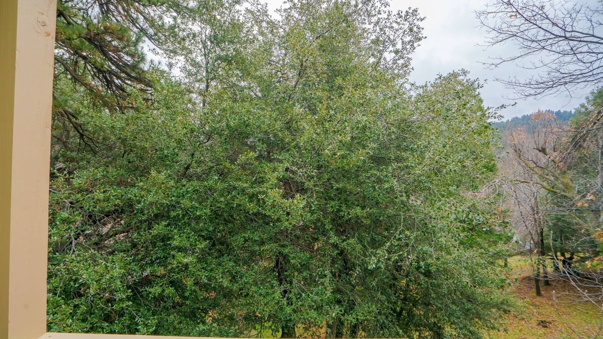 Crestline House | ~BarryBear House~ Mountain lake retreat