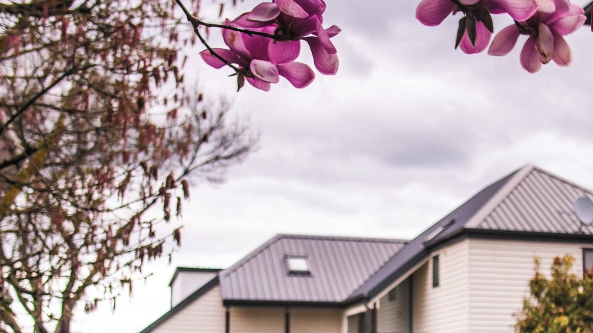 Riccarton House | Bartlett By The Park - Location and Comfort Last minute specials