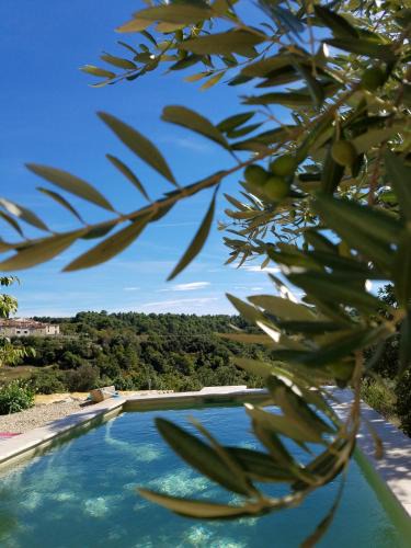 Baudinard-sur-Verdon House | Bastide Saint Jean Baptiste