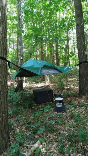 Selmsdorf Other | Baumzelt mitten im Wald bis 180kg