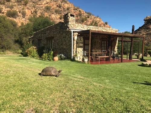 Baviaans Cabin | Baviaanskloof Duiwekloof Lodge