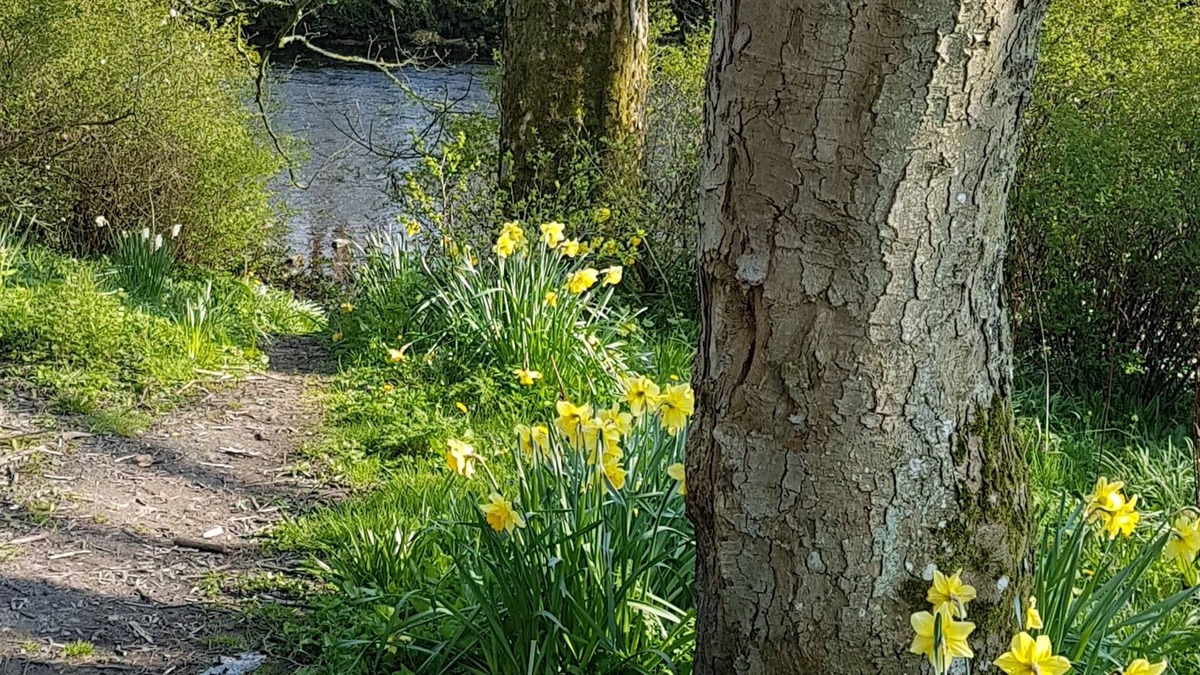West Woodburn Hotel | Bay Horse Inn - B&B
