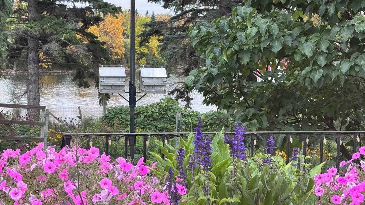 Killarney House | Bayside home with birds, butterflies, deer, and gardens