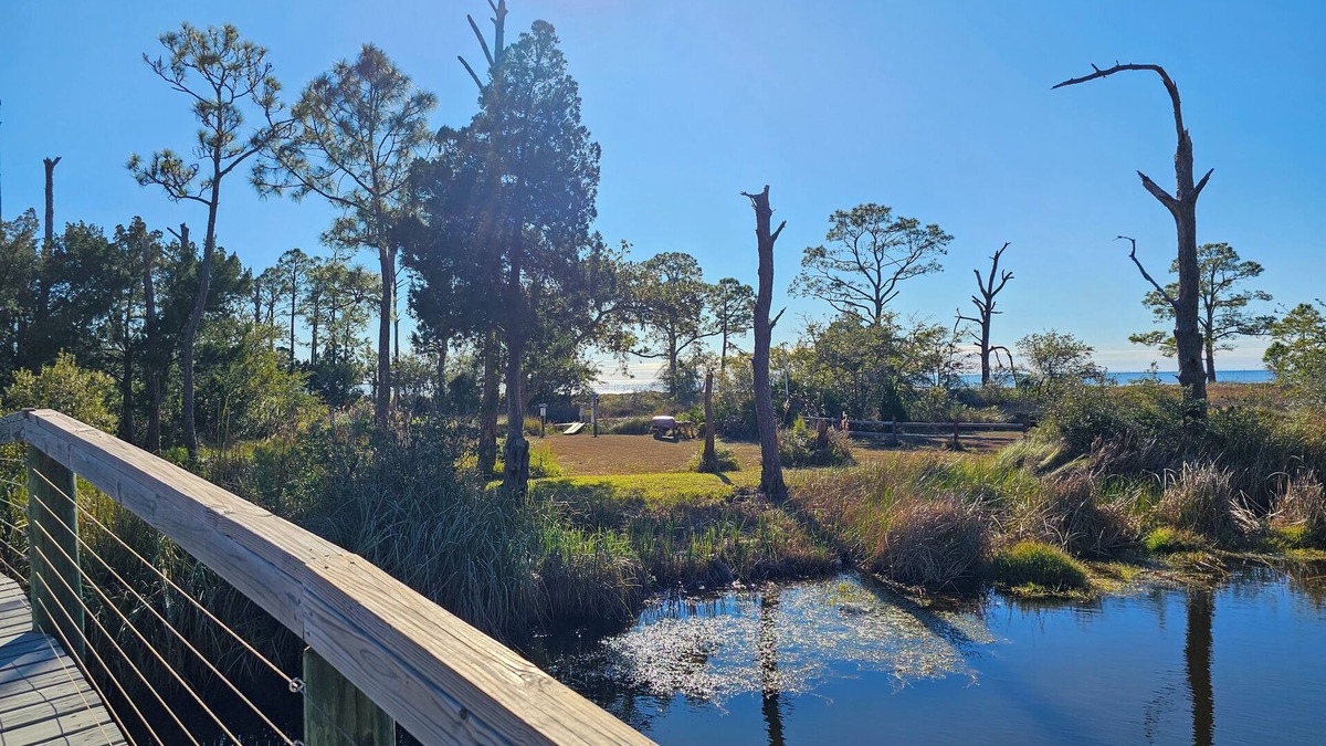Magnolia Bluffs House | Bayside Retreat w/bay access! Dogs OK, Large Pond, Lots of Wildlife!