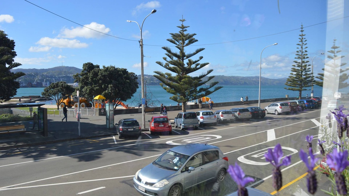 Oriental Bay Apartment | Bayview house in Oriental Parade