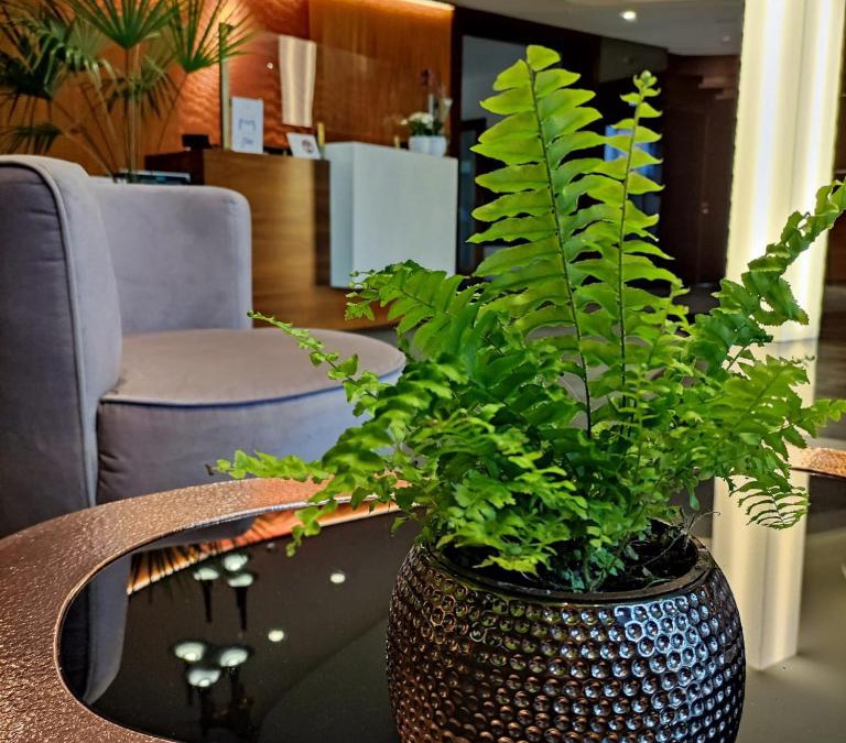 Koscierzyna Hotel | Bazuny Hotel&Spa