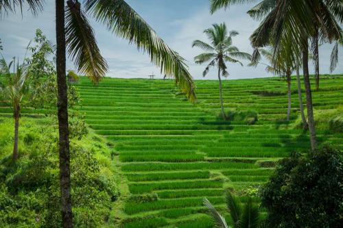 Kedewatan Villa | Be Bali Stay