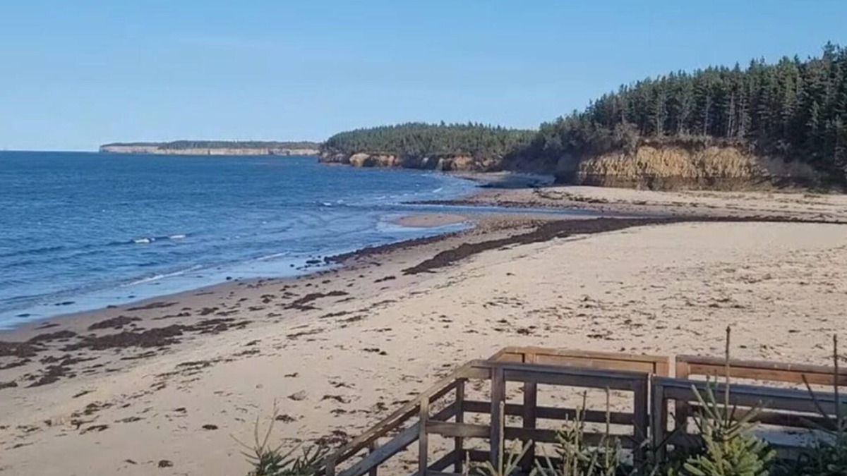 Black Rock Cabin | Beach access with Ocean View; Cabot Trail 25 km away.