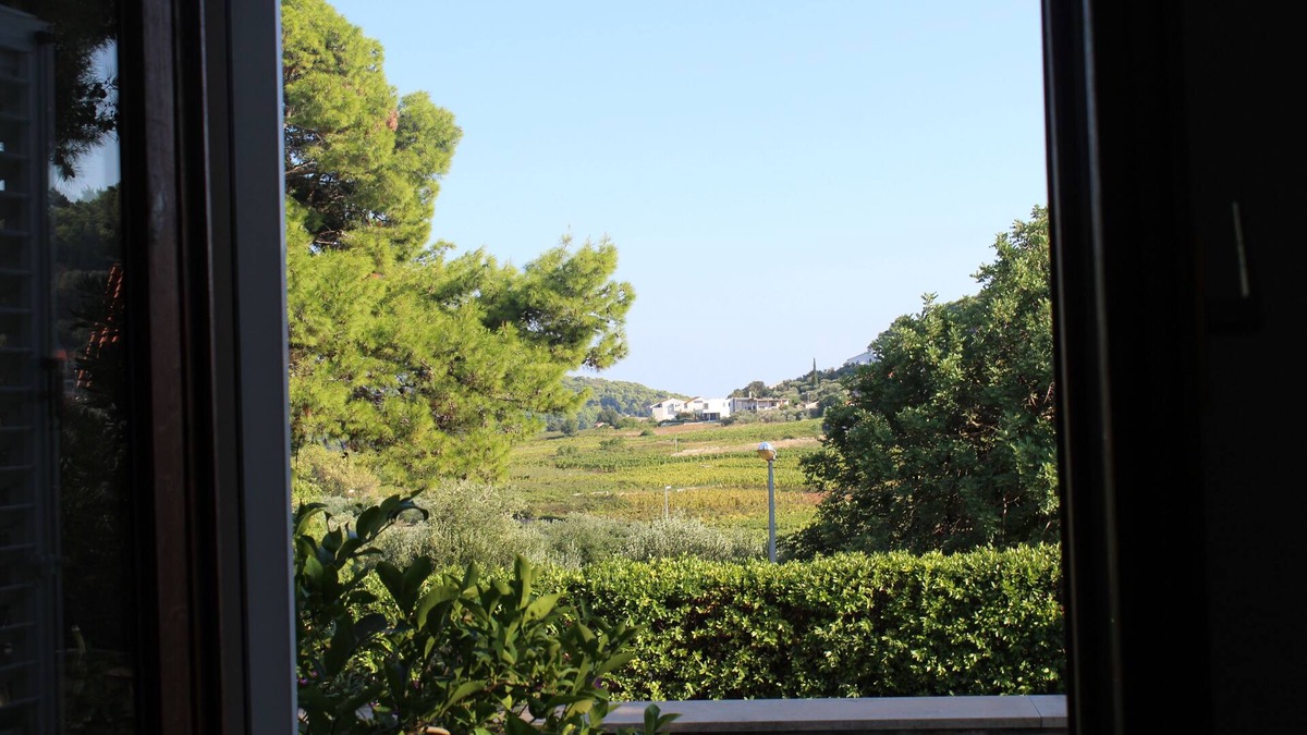 Vela Glavica Apartment | Beach Apartment Jakobus