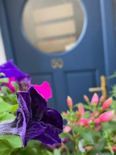 Kinsale Town Centre House | Beach Close Lodge