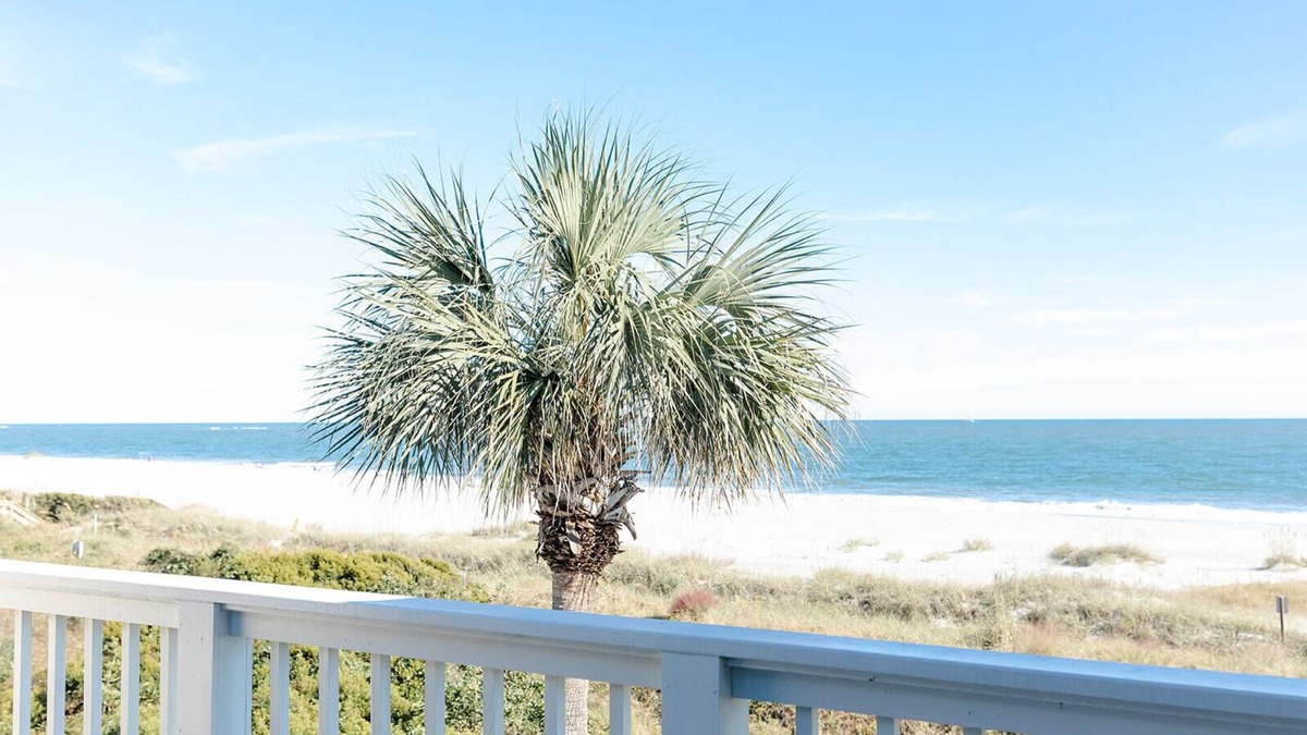 Isle of Palms Villa | Beach Club Villa 32 - Elite Oceanfront! Pool!