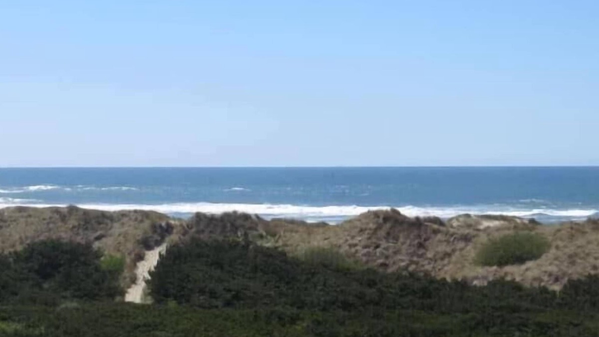 Florence House | Beach front, 1 bedroom, dog friendly - Deja View