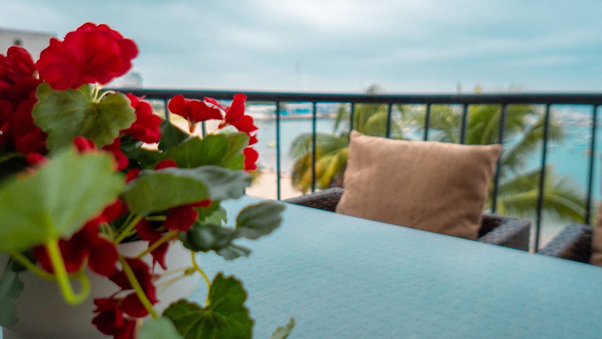 Guayaquil Apartment | Beach front apartment, Two bedroom two bath! Pet friendly 😀