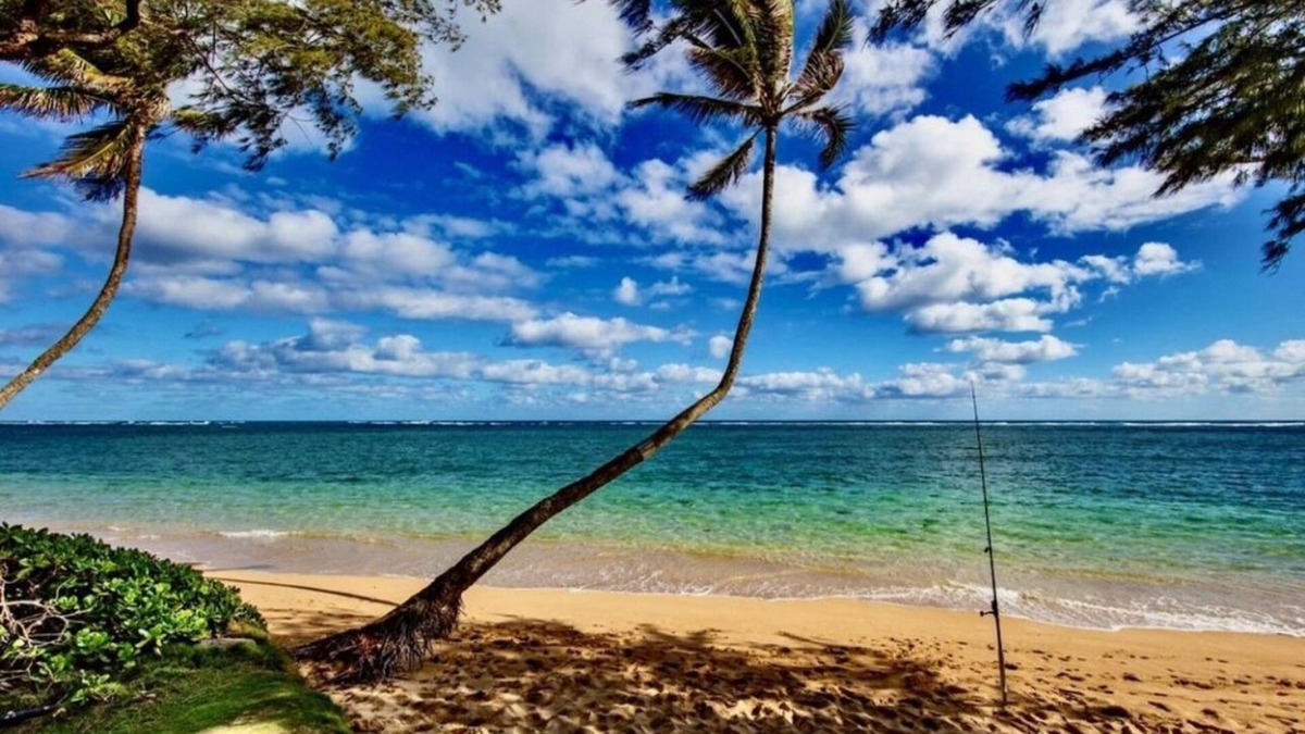 Punaluu Condo | Beach Front Condo-Everything you can dream of for a Hawaiian getaway is here!